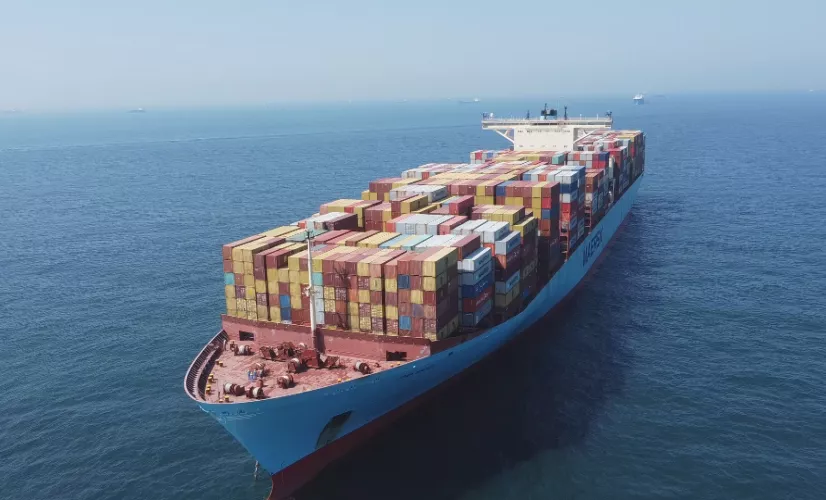 Cargos, dans les soutes de la mondialisation