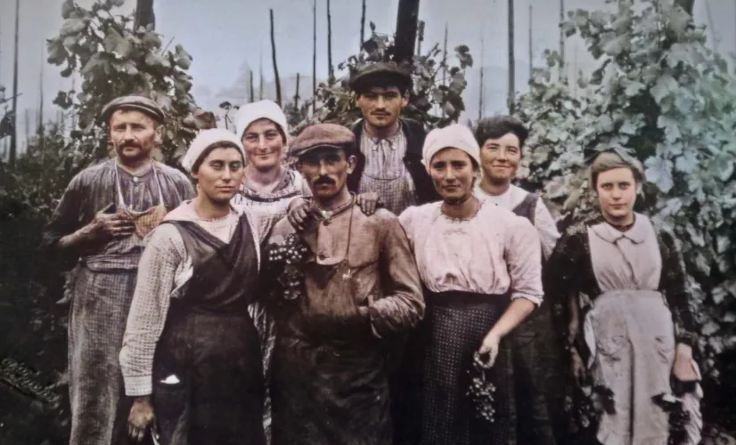 "l'épopée des vignerons"