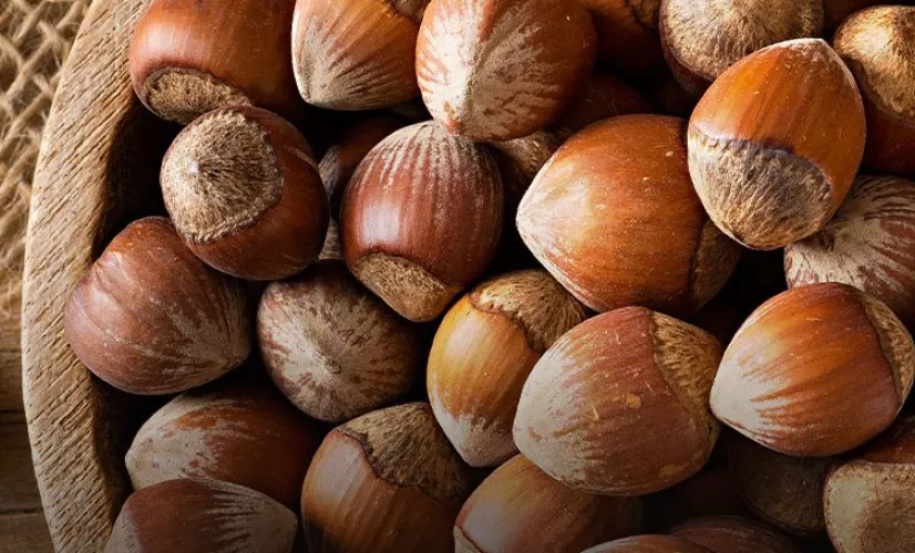 La noisette : le casse du siècle De la production en France, Italie, jusqu'en Turquie, à sa transformation en huile, en pâte à tartiner ou en bonbon de chocolat, ce documentaire de Valentine Amado explore toutes les facettes de la noisette, qui a su conquérir le monde. C'est un voyage gourmand et instructif dans l'univers de ce petit fruit sec.
