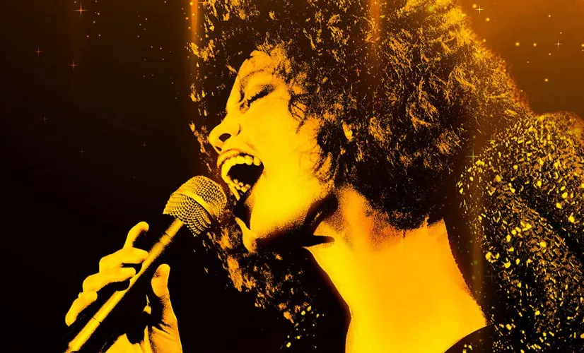 WHITNEY HOUSTON, UNE VOIX ETERNELLE  WHITNEY HOUSTON, UNE VOIX ETERNELLE