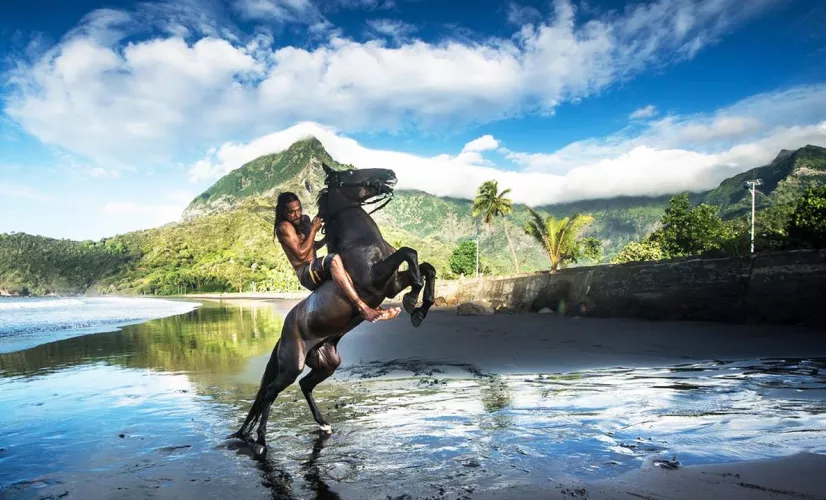 © Zed UA HUKA : L'ÎLE AUX CHEVAUX