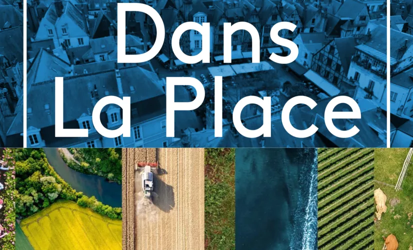 dans la place