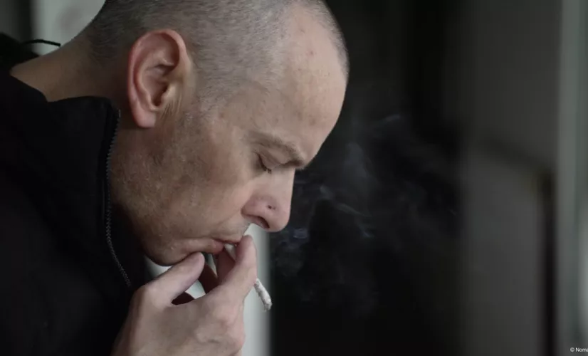 Le pavillon des irresponsables © Nomades