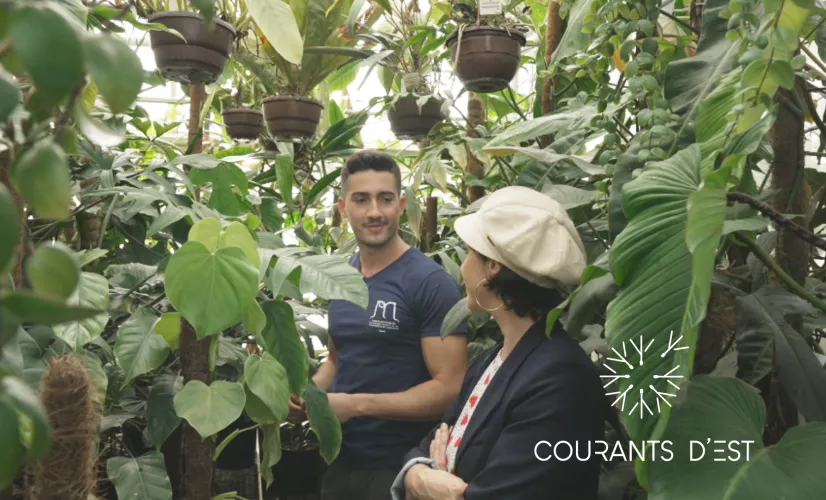 Courants d'Est - Le jardin botanique de Jean-Marie Pelt - crédit FTV