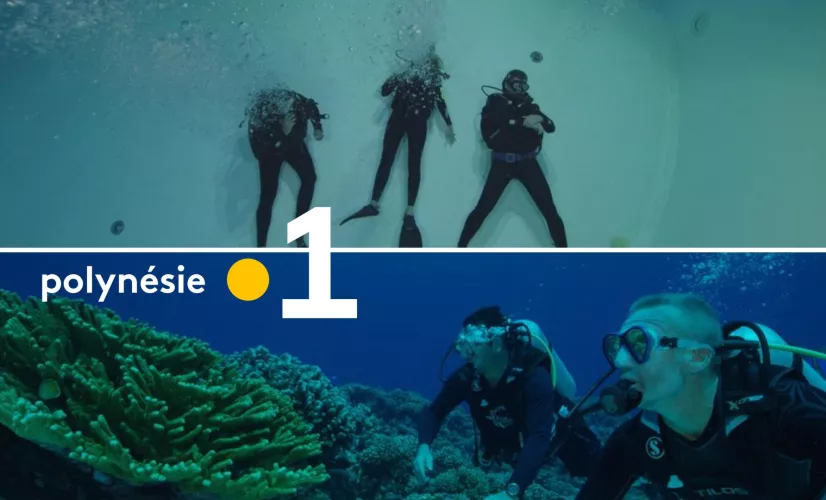 DOCUMENTAIRE POLYNESIE Sem 34 2022