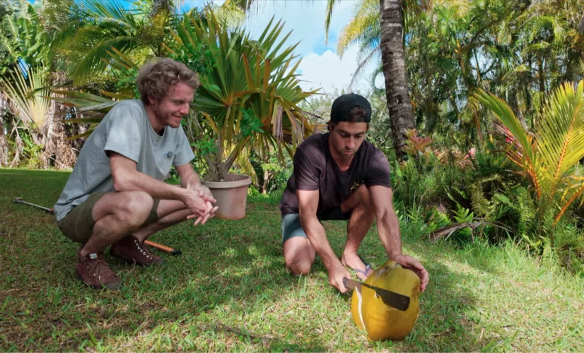 Décalage horaire à Hawai