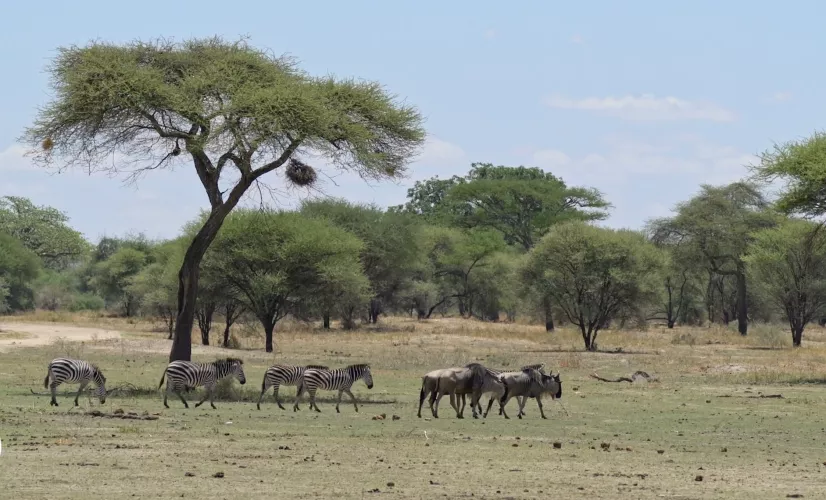 DECALAGE HORAIRE EN TANZANIE 