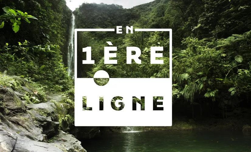 En 1ère ligne - Guadeloupe