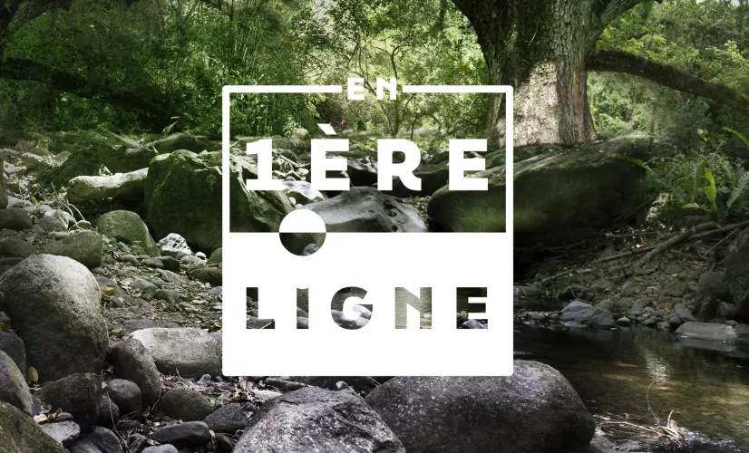 Header En 1ère ligne Martinique