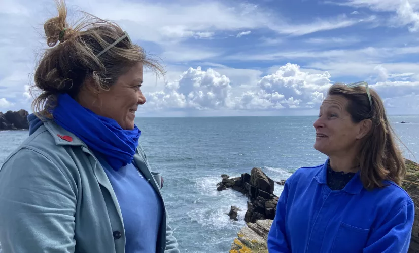 Envie dehors, Ile d'Yeu 