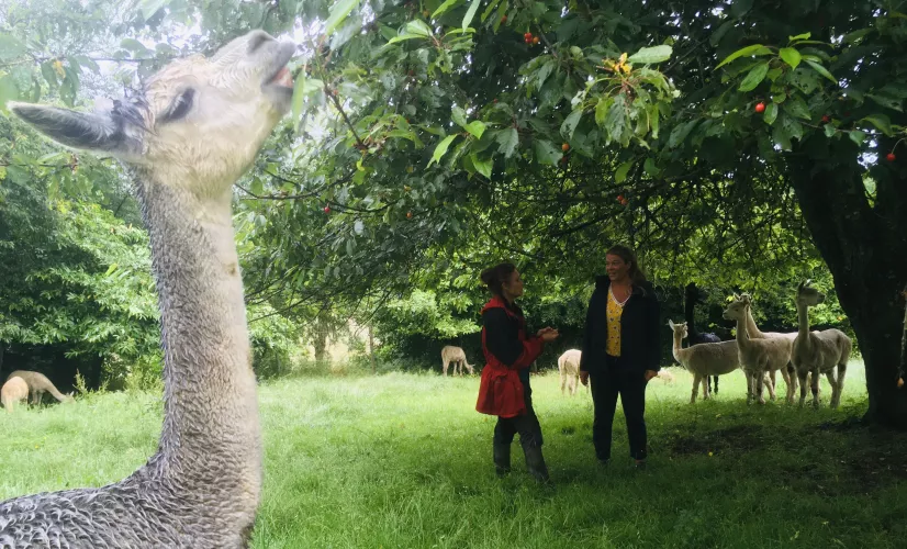 Envie dehors ! Virée dans le sud de la Mayenne
