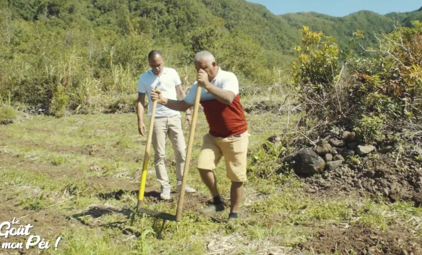 KALOU PILON SAISON 3 Episode 8 : Cette semaine Kalou Pilon nous emmène à la plaine des Grègues, la capitale du curcuma, le « safran péi » épice incontournable « le goût mon péi »