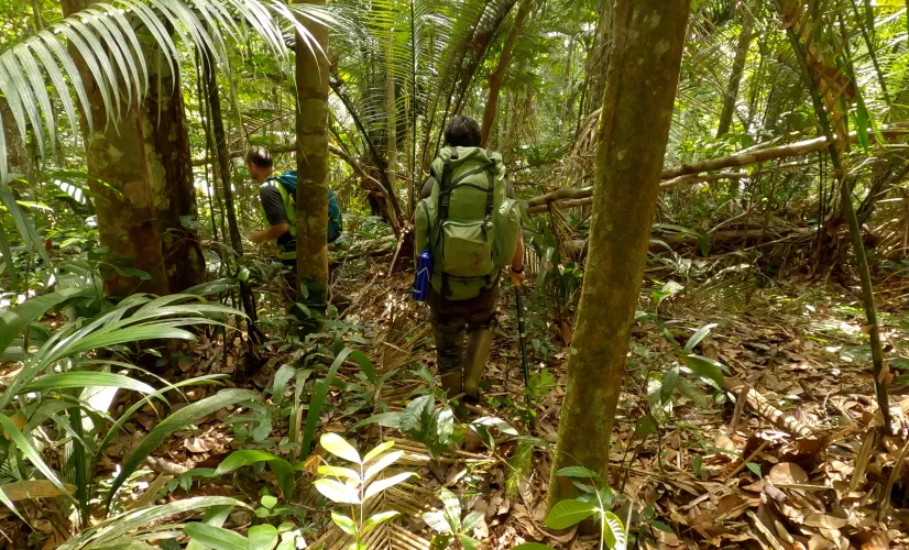 Les plus beaux treks : Guyane