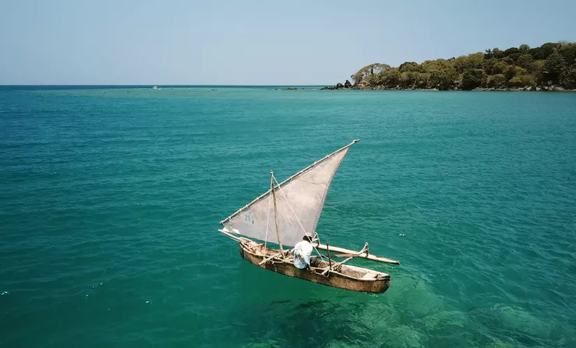 Les engagés de l’île aux parfums © La Cerise sur le Gâteau Prod