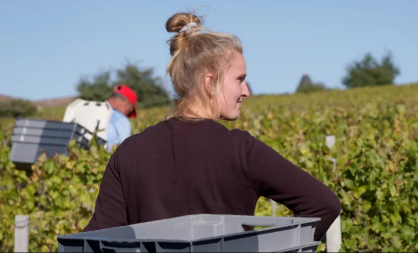 Les vignerons du vivant