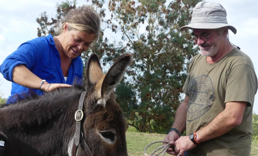 Envie dehors ! Sur les chemins vendéens avec un âne © Clémence Laroque