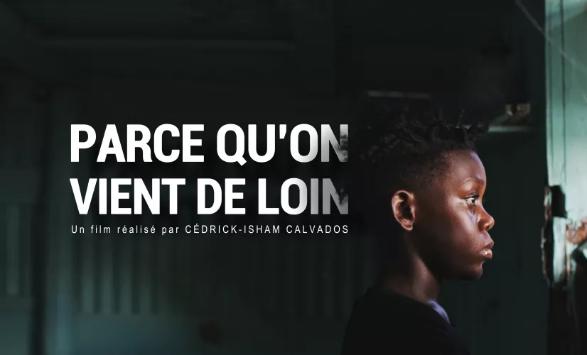 Parce qu'on vient de loin Parce qu'on vient de loin