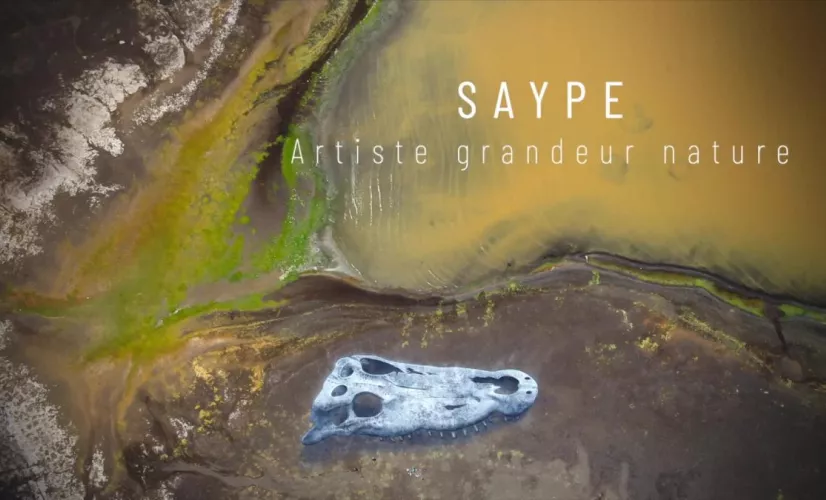 saype