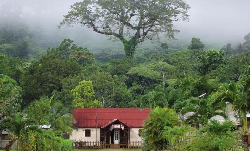 LE VILLAGE PREFERE DES FRANCAIS 2022 En 2022, France 3 lance la 10e édition du "Village Préféré des Français". Un concours permettant de mettre en avant 14 territoires français. Cette année, la commune de Saül, en Guyane, a été choisie pour représenter l'Outre-mer. Les votes sont ouverts...