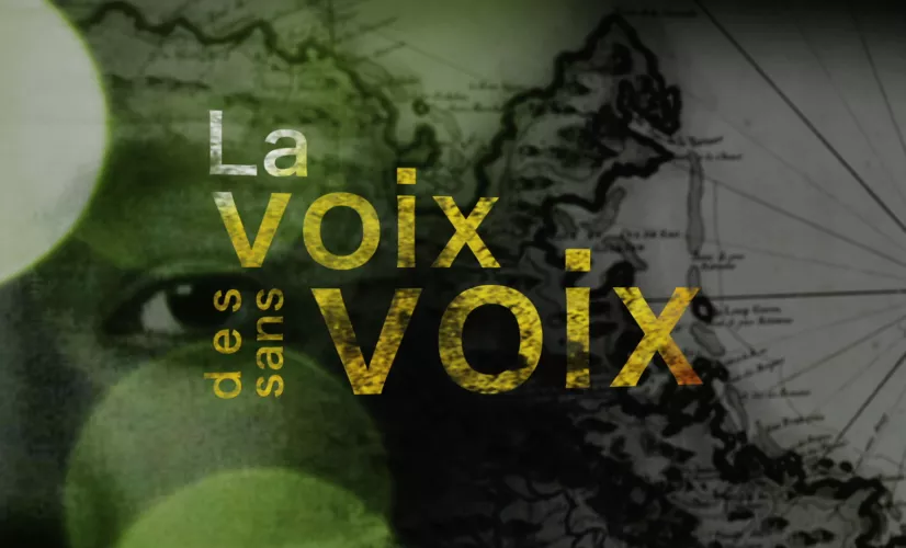 Webdocumentaire : La voix des sans voix
