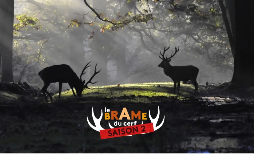 Le brame du cerf saison 2