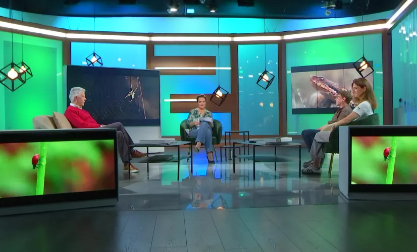 Débadoc : La nature plus forte que le feu ? 