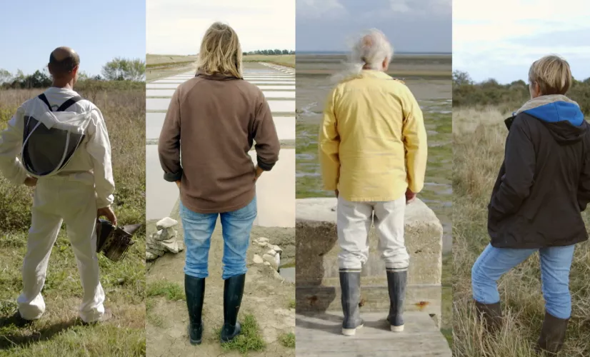 Oléron les sentinelles de la nature