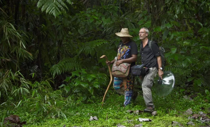 CARNETS SONORES DE GUADELOUPE