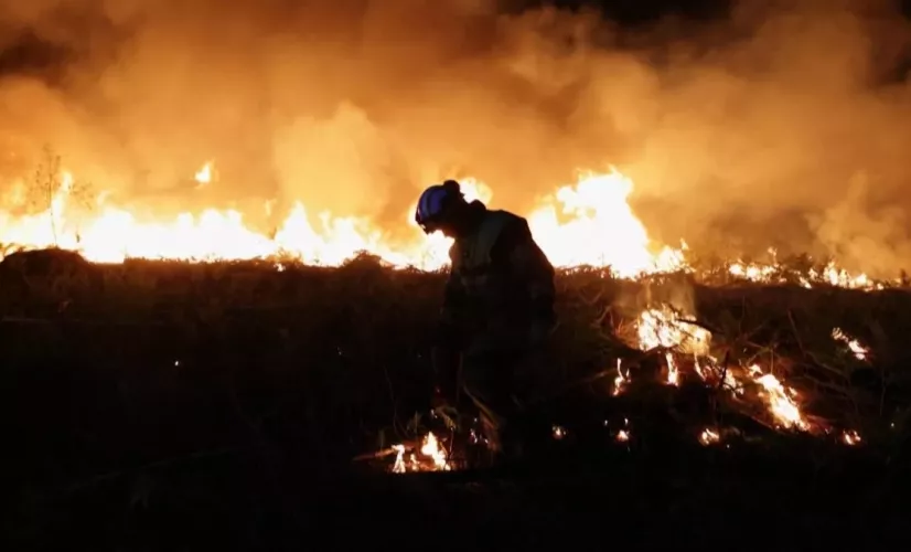 Les gardiens de la forêt des Landes