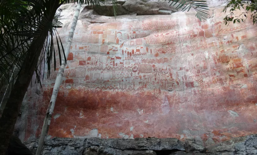 © French Connection Films – Cabala Films La civilisation perdue d'Amazonie