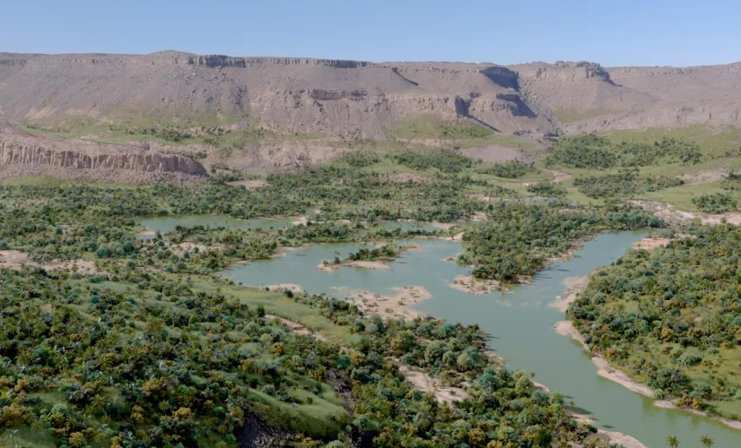 Sahara vert, l'énigme du paradis perdu