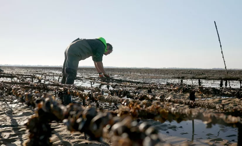 Quand le travail rend malade