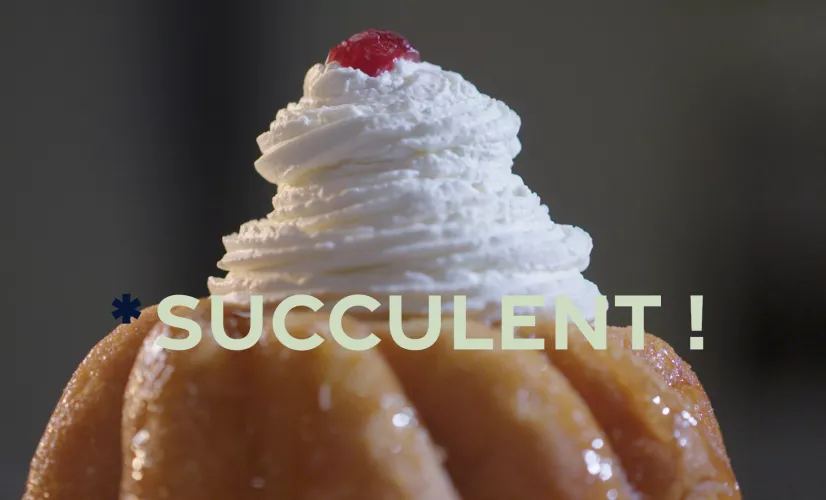 Succulent ! Baba au rhum - crédit FTV Succulent ! Baba au rhum - crédit FTV