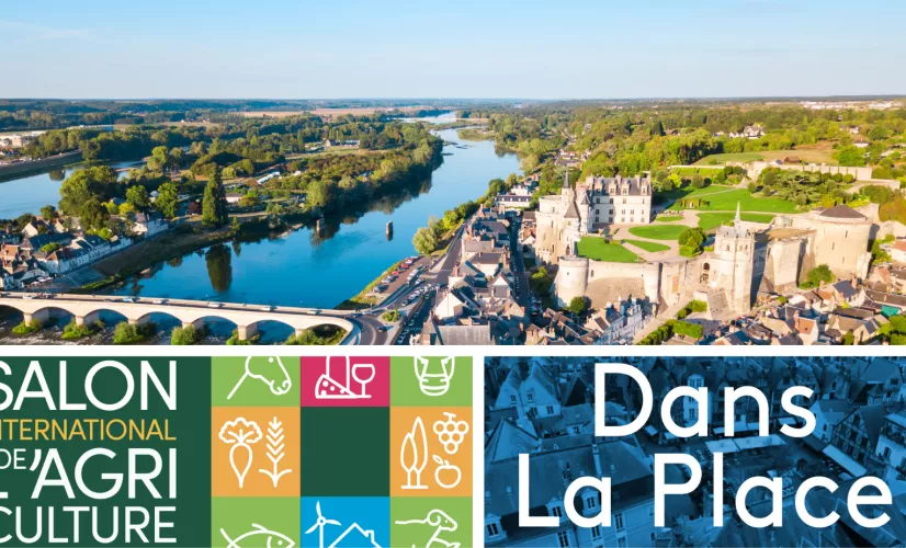 DLP amboise